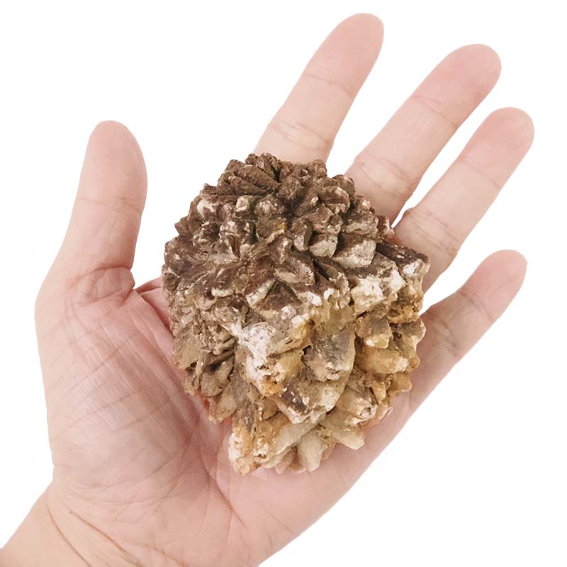 0.21kg Australian Glendonite Mineral Specimen DR563 4 Australian Glendonite Mineral Specimen DR563 | Crystal Factory