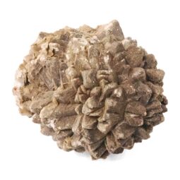 0.21kg Australian Glendonite Mineral Specimen DR563 7 Australian Glendonite Mineral Specimen DR563 | Crystal Factory