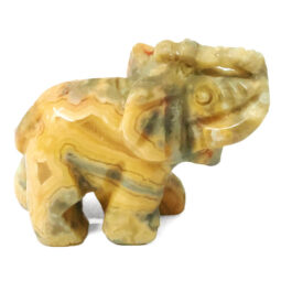 Crazy Lace Agate Mini Crystal Elephant 11 Crazy Lace Agate Mini Crystal Elephant | Crystal Factory