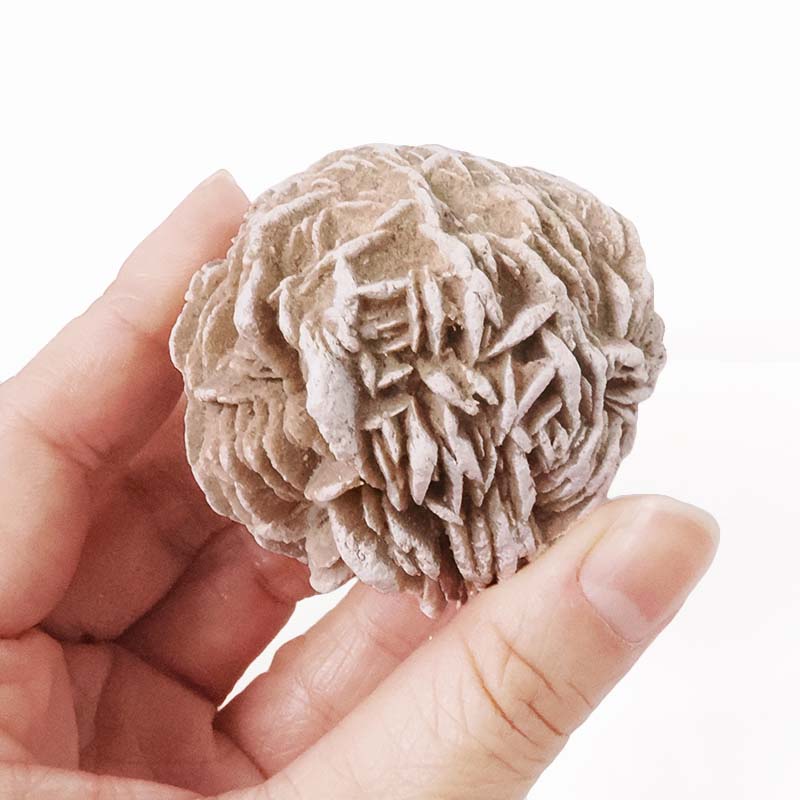 Desert Rose Selenite Crystal 4 Desert Rose Selenite Crystal | Crystal Factory