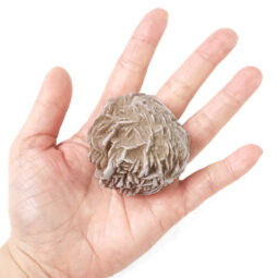 Desert Rose Selenite Crystal 9 Desert Rose Selenite Crystal | Crystal Factory