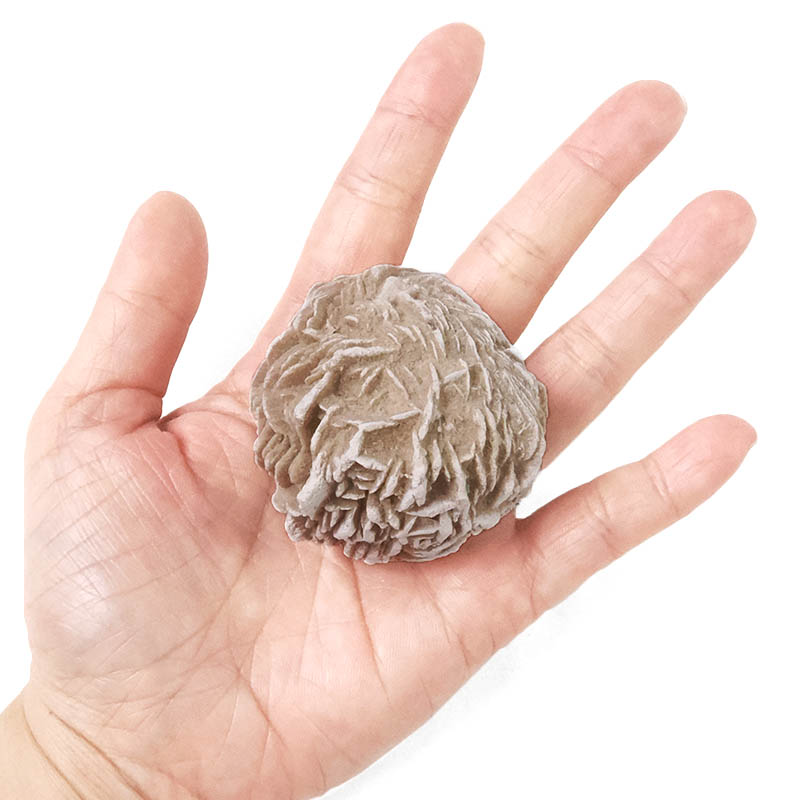 Desert Rose Selenite Crystal 5 Desert Rose Selenite Crystal | Crystal Factory