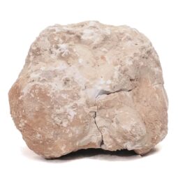 Natural Calcite Geode Pair S1501 | Crystal Factory