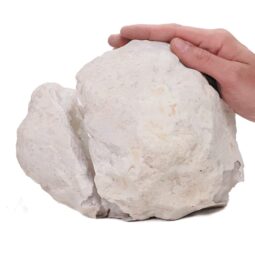 Natural Calcite Geode Pair S1502 | Crystal Factory