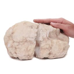 Natural Calcite Geode Pair S1504 | Crystal Factory