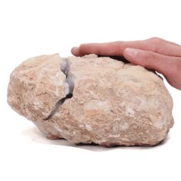Natural Calcite Geode Pair S1505 | Crystal Factory