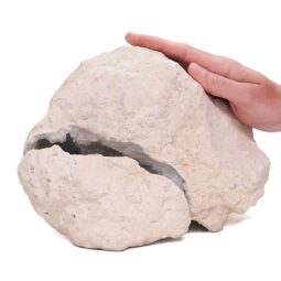 Natural Calcite Geode Pair S1506 | Crystal Factory