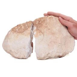 Natural Calcite Geode Pair S1510 | Crystal Factory