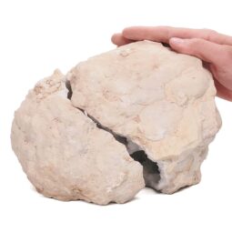 Natural Calcite Geode Pair S1511 | Crystal Factory