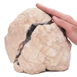 Natural Calcite Geode Pair S1512 | Crystal Factory