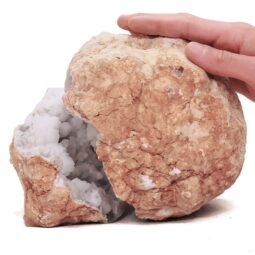 Natural Calcite Geode Pair S1516 | Crystal Factory