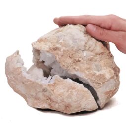 Natural Calcite Geode Pair S1518 | Crystal Factory