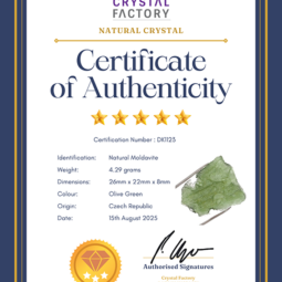 Natural Moldavite Rough DK1123 | Crystal Factory