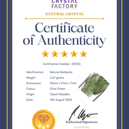Natural Moldavite Rough DK1124 | Crystal Factory