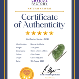 Natural Moldavite Rough DK1125 | Crystal Factory