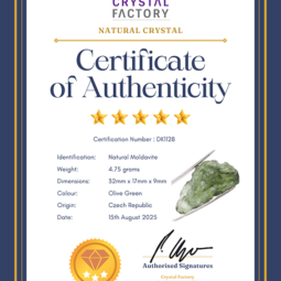 Natural Moldavite Rough DK1128 | Crystal Factory