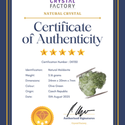 Natural Moldavite Rough DK1130 | Crystal Factory