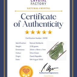 Natural Moldavite Rough DK1131 | Crystal Factory
