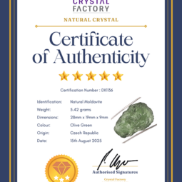 Natural Moldavite Rough DK1136 | Crystal Factory