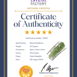Natural Moldavite Rough DK1137 | Crystal Factory