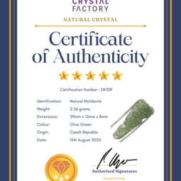 Natural Moldavite Rough DK1139 | Crystal Factory