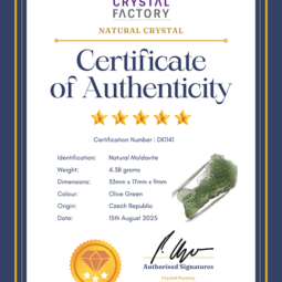 Natural Moldavite Rough DK1141 | Crystal Factory