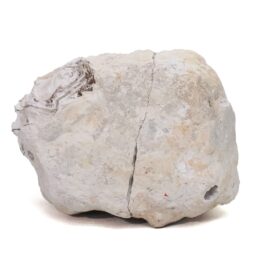 Natural Calcite Geode Pair S1519 | Crystal Factory