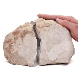 Natural Calcite Geode Pair S1522 | Crystal Factory