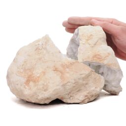 Natural Calcite Geode Pair S1523 | Crystal Factory