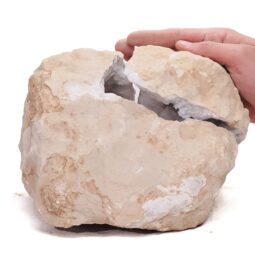 Natural Calcite Geode Pair S1526 | Crystal Factory