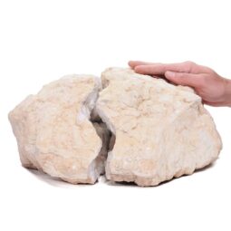 Natural Calcite Geode Pair S1527 | Crystal Factory