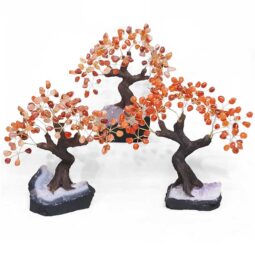 Carnelian Gemstone Bonsai Tree on Amethyst Cluster 24 Branches | Crystal Factory