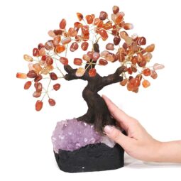 Carnelian Gemstone Bonsai Tree on Amethyst Cluster 24 Branches | Crystal Factory