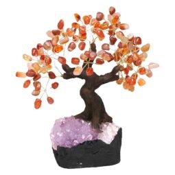 Carnelian Gemstone Bonsai Tree on Amethyst Cluster 24 Branches | Crystal Factory