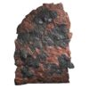 Crinoid Fossil Plate | Crystal Factory