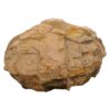 Moroccan Septarian Nodule DS2875 | Crystal Factory