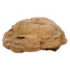 Moroccan Septarian Nodule DS2877 | Crystal Factory