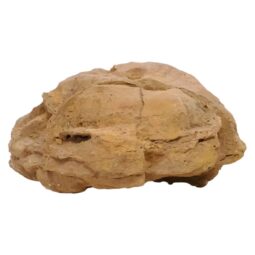 Moroccan Septarian Nodule DS2877 | Crystal Factory