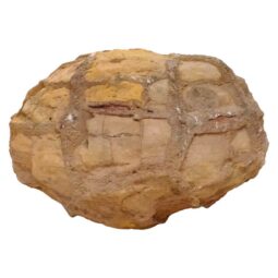 Moroccan Septarian Nodule DS2878 | Crystal Factory