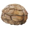 Moroccan Septarian Nodule DS2893 | Crystal Factory