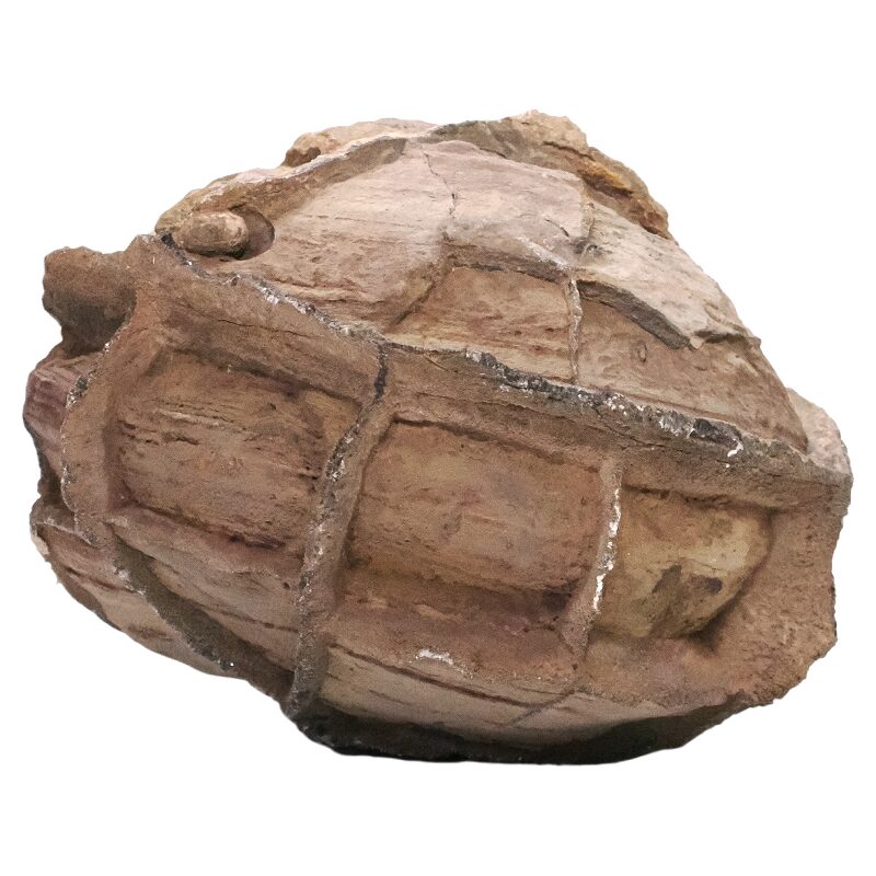 2.4kg Moroccan Septarian Nodule DS2894 3 Moroccan Septarian Nodule DS2894 | Crystal Factory