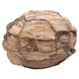 Moroccan Septarian Nodule DS2895 | Crystal Factory
