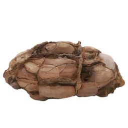 Moroccan Septarian Nodule DS2896 | Crystal Factory