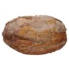 Moroccan Septarian Nodule DS2899 | Crystal Factory