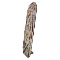 Ancient Fossil Ammonite Orthoceras Wall Plate – Brown | Crystal Factory