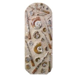 Ancient Fossil Ammonite Orthoceras Wall Plate – Brown | Crystal Factory