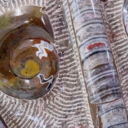 Ancient Fossil Ammonite Orthoceras Wall Plate – Brown | Crystal Factory