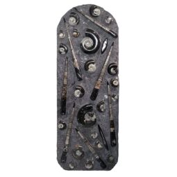 Ancient Fossil Ammonite Orthoceras Wall Plate – Black | Crystal Factory
