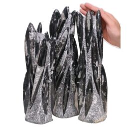 Fossilized Orthoceras Tower | Crystal Factory