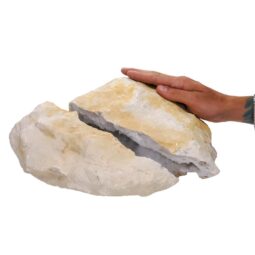 Natural Calcite Geode Pair J2171 | Crystal Factory